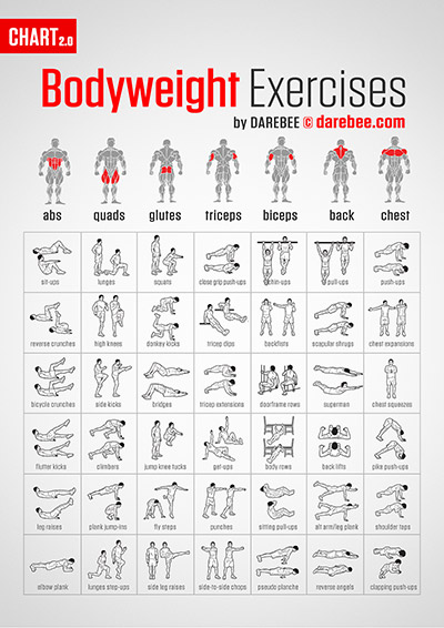 Full Body Workout Chart