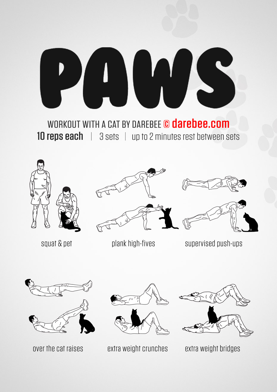 http://darebee.com/images/workouts/paws-workout.jpg