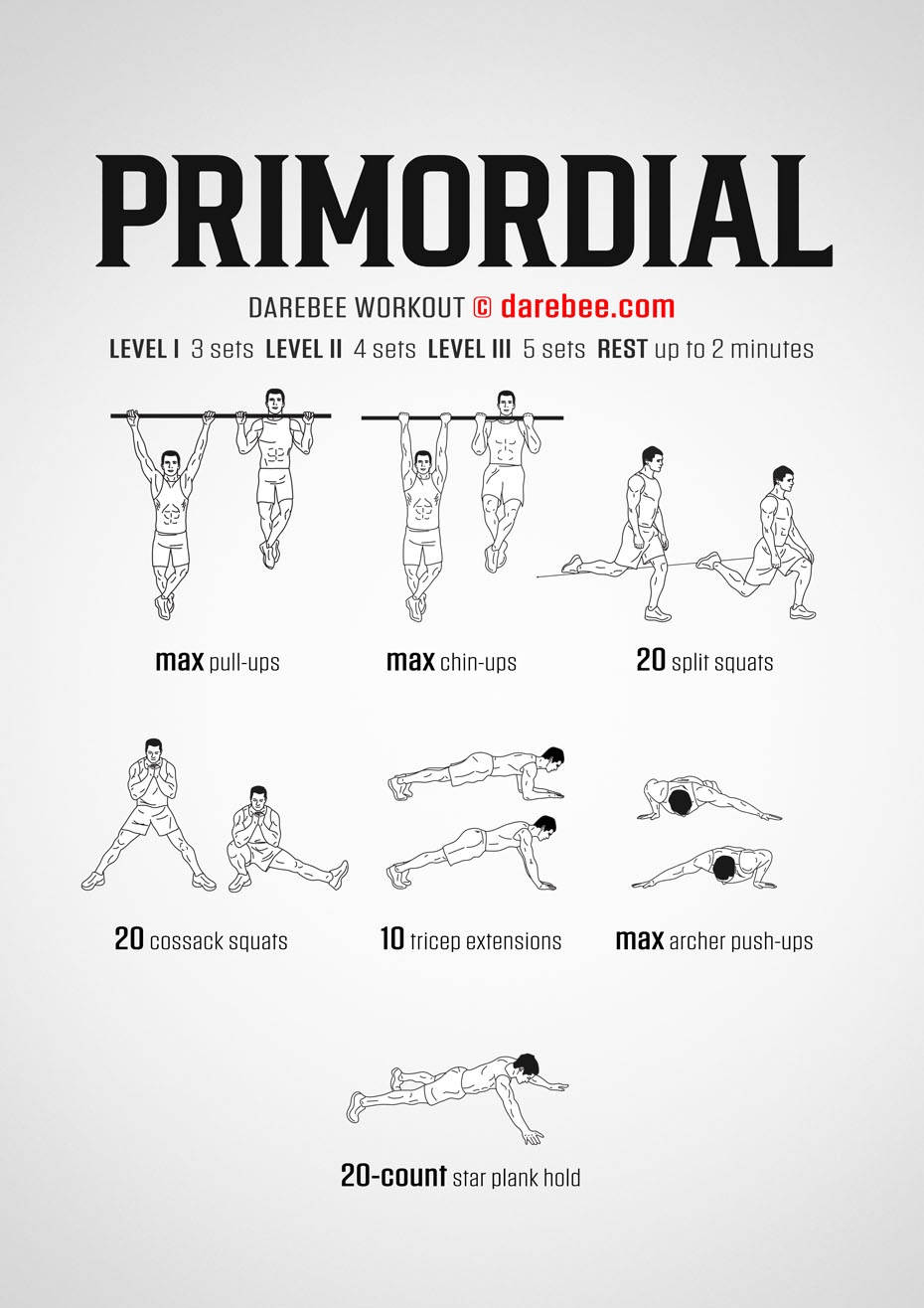 Primordial is a DAREBEE advanced home fitness workout that helps you develop total body strength in he comfort of your own home.
