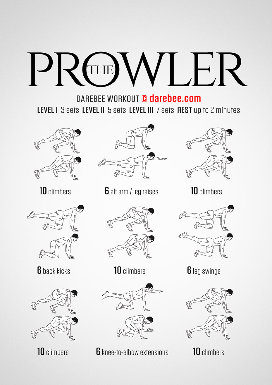 15 Minute Prowler Workout Program for Beginner