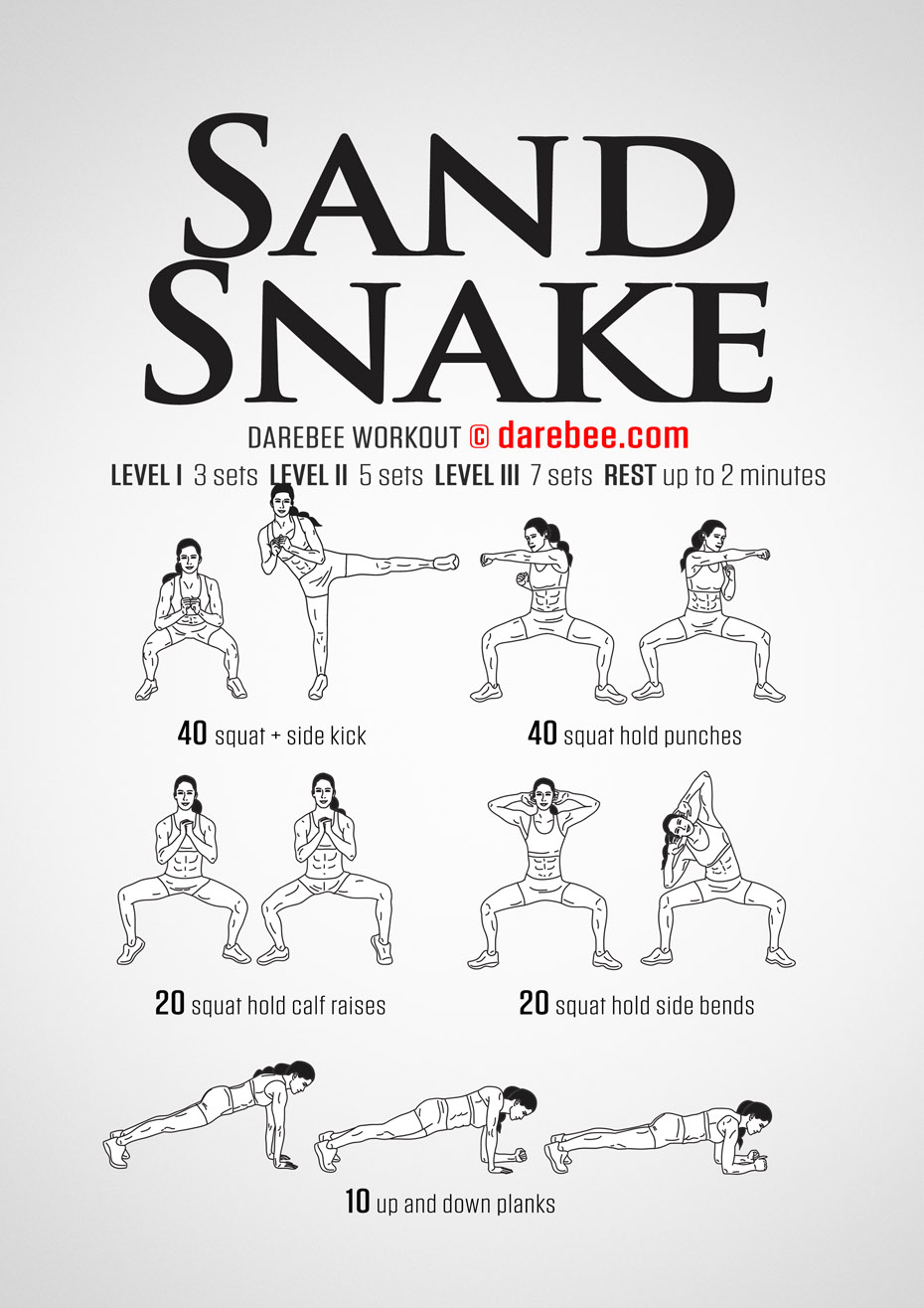 sandsnake-workout.jpg