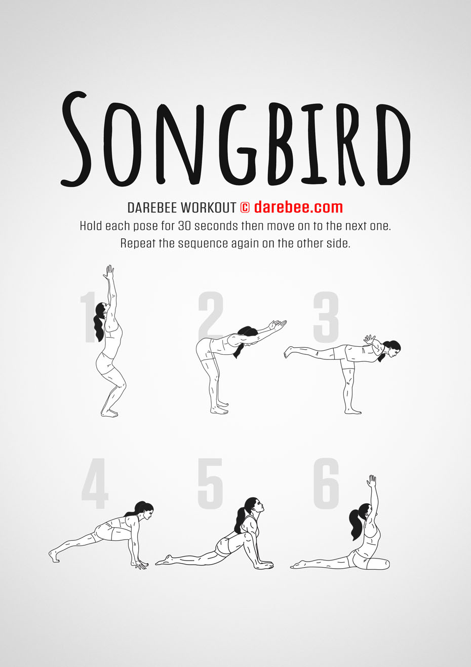 Songbird is a difficulty Level IV isometric strength workout that will improve your overall fitness level. 