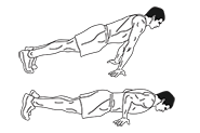 Push-Up Master Challenge