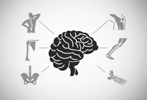 Bone Strength and Brain Health - How To Improve Both is a science-backed article on physical and mental health written by the DAREBEE team of experts.
