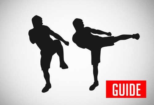 Darebee home-fitness guide to martial arts kicks and combat workouts.