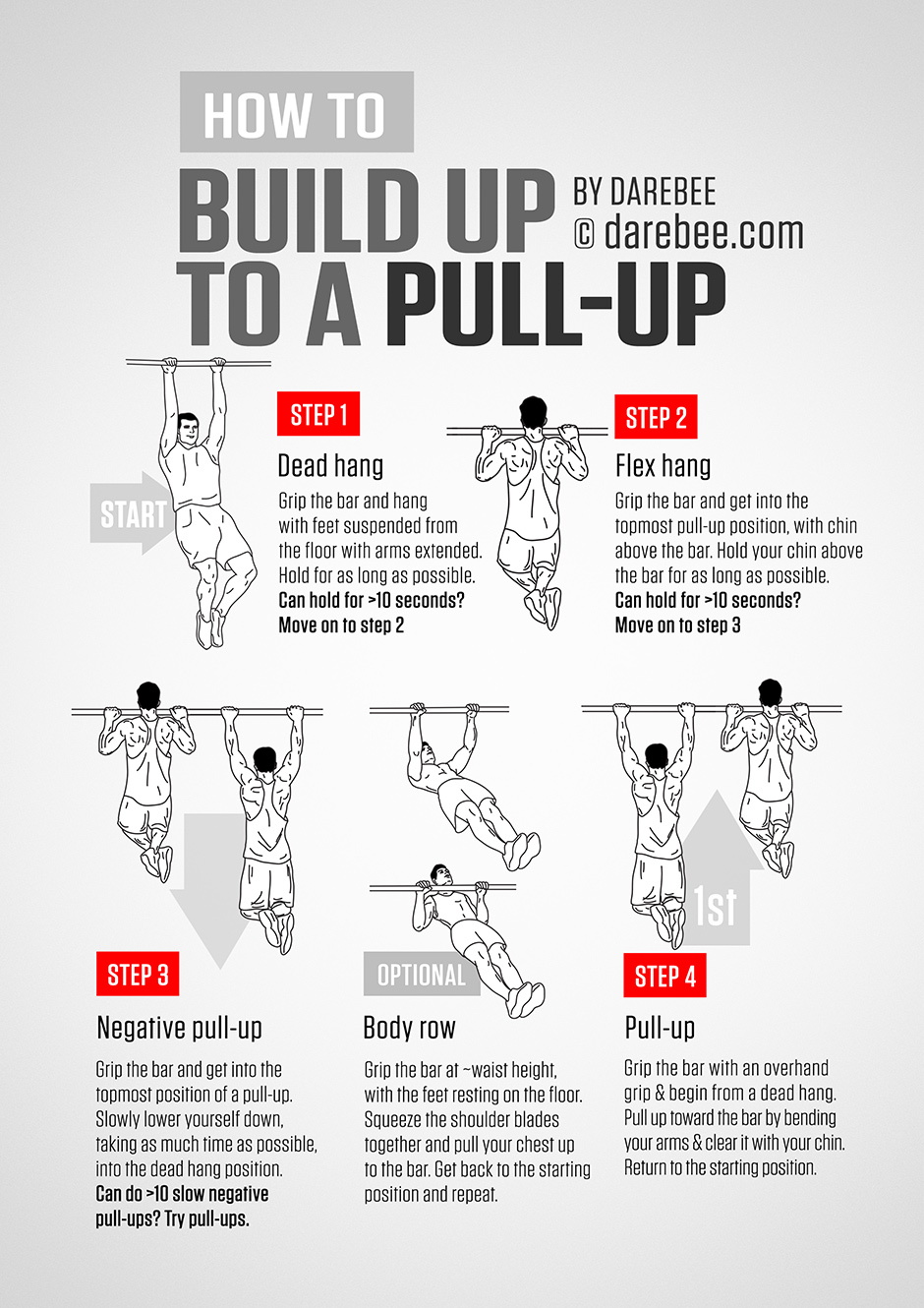 Pull Ups Muscles Worked Chart