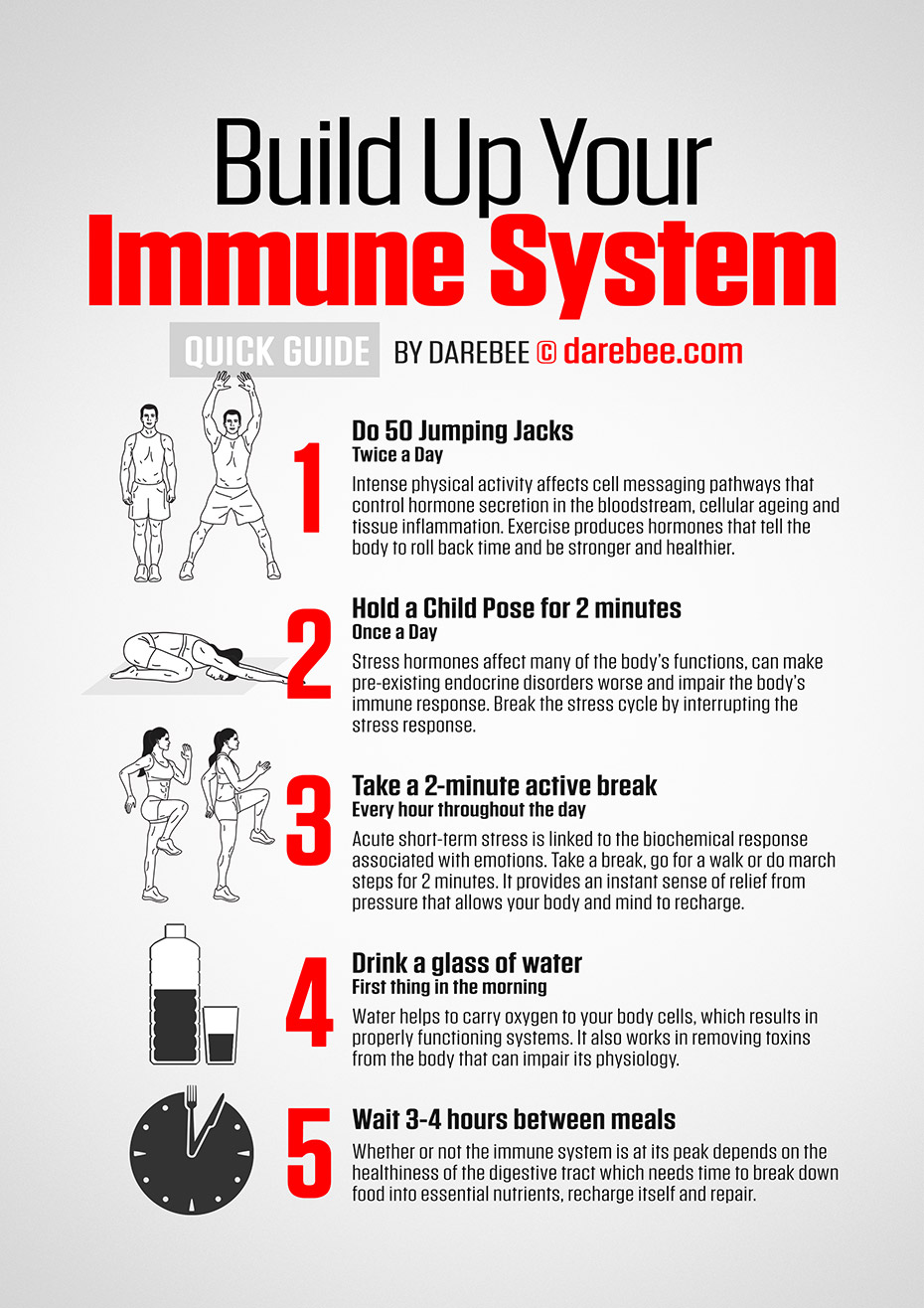Quick Morning Workout That Can Boost Your Immune System - Educogym