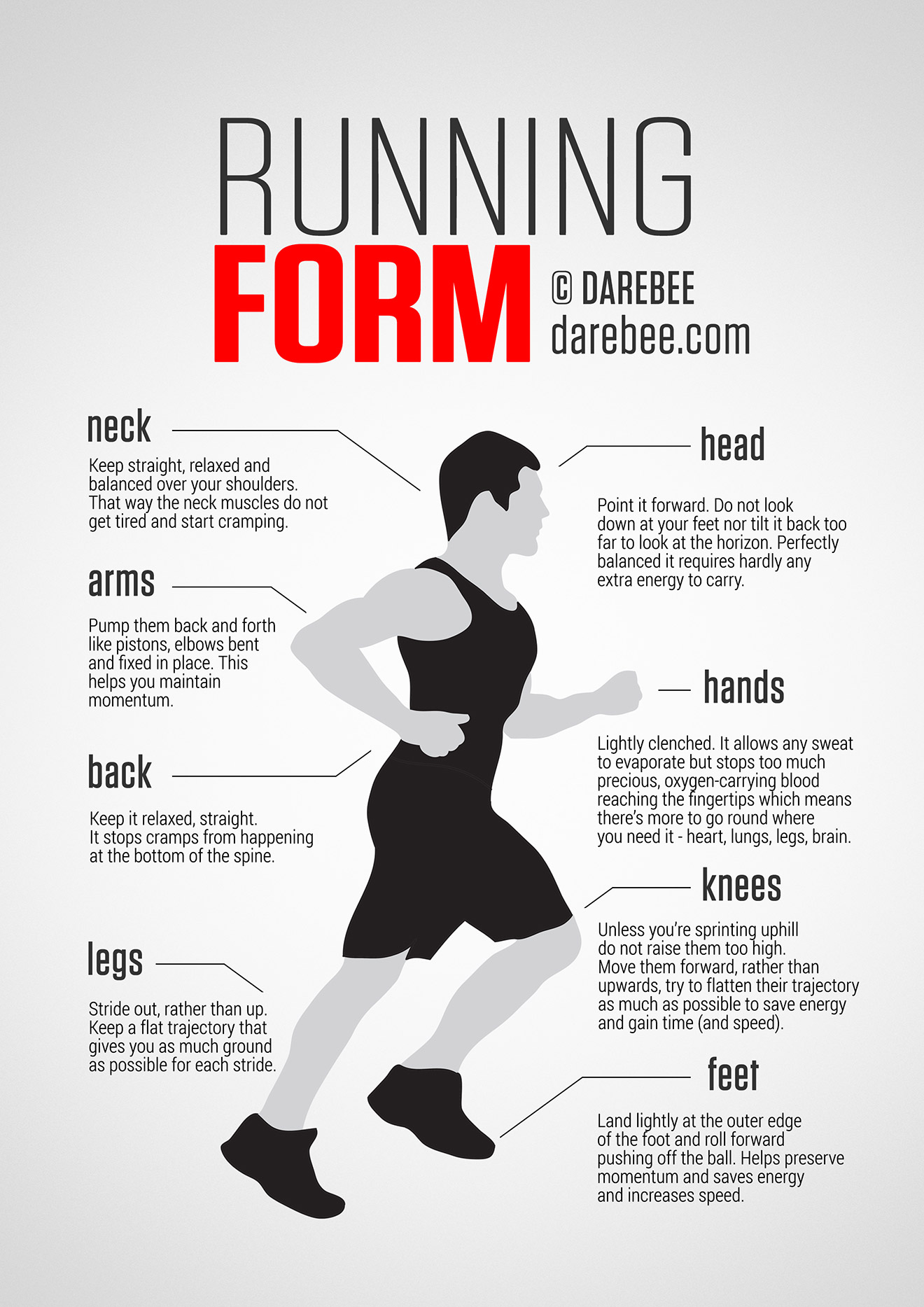What Muscles Does Running Work  