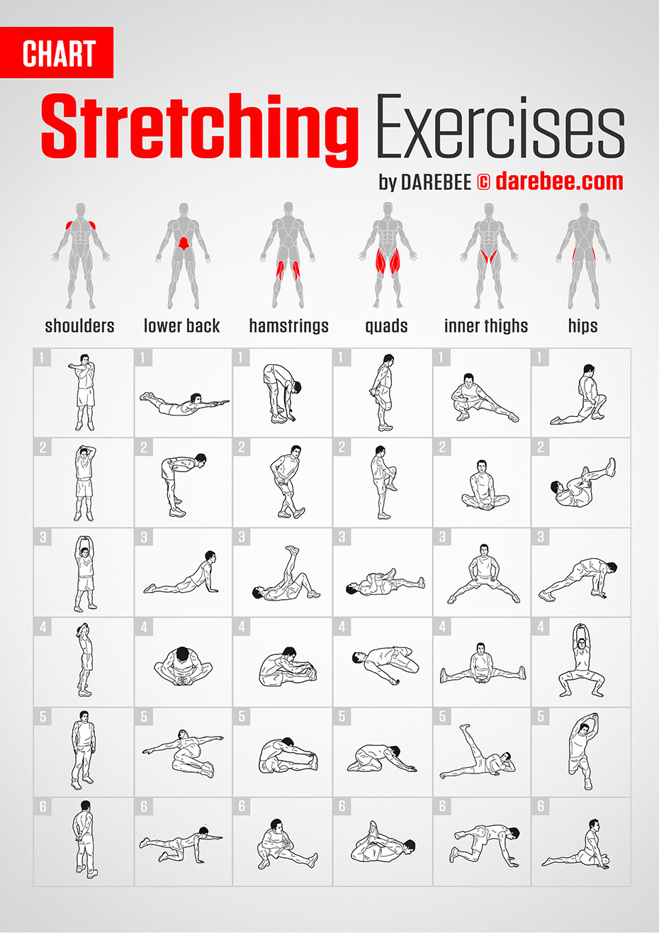 Stretching Exercises Chart