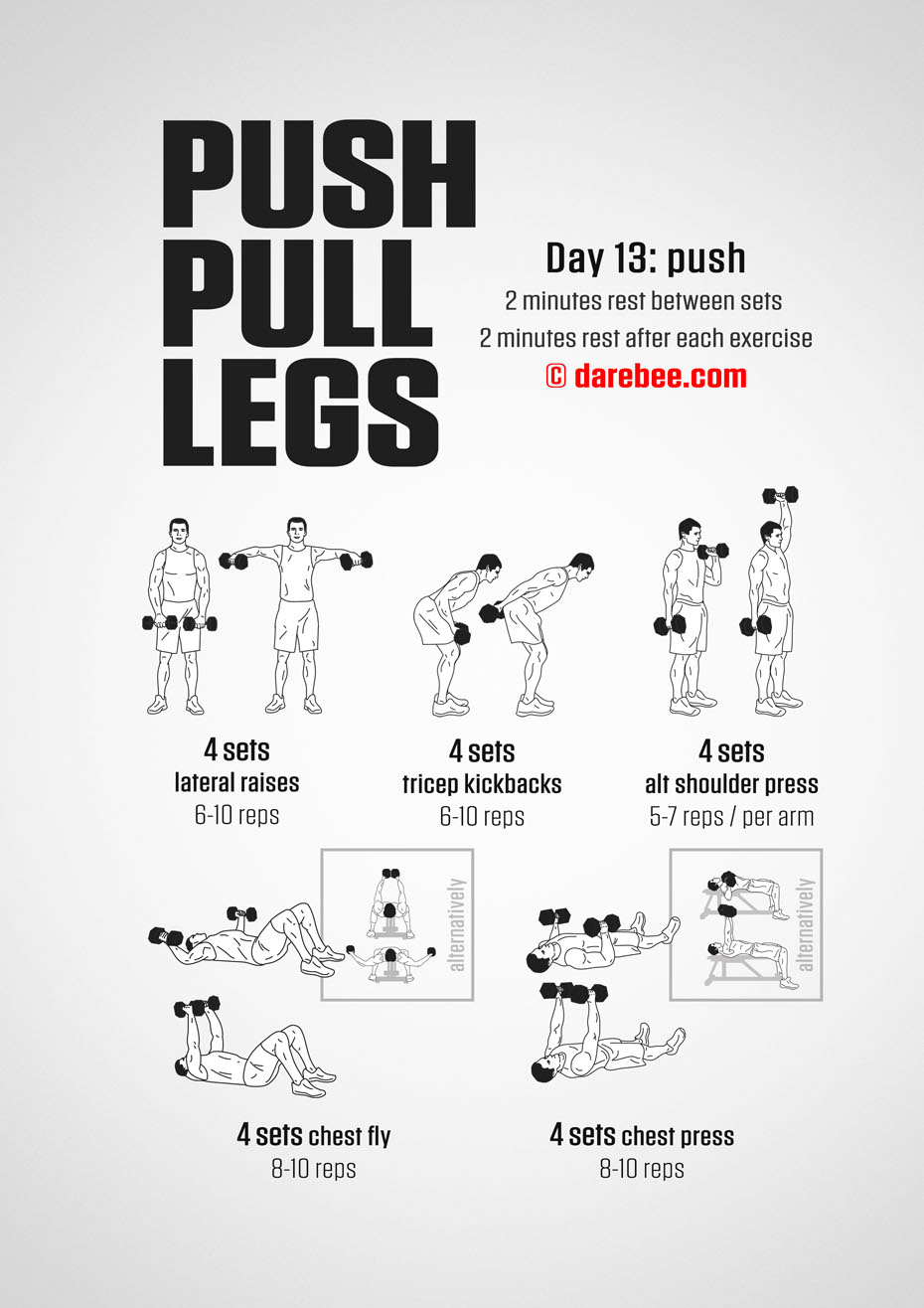 Push Pull Legs  30 Day Muscle Building Dumbbell Program by DAREBEE