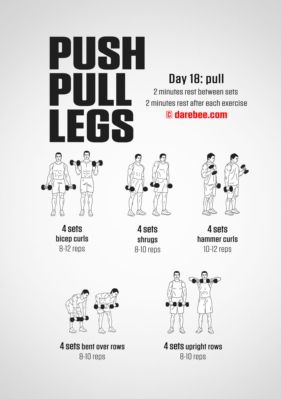 Push Pull Legs  30 Day Muscle Building Dumbbell Program by DAREBEE