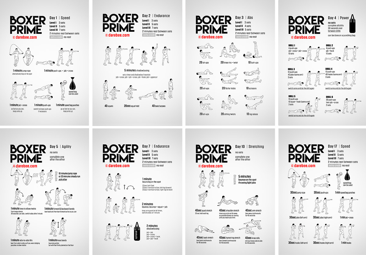Boxer Prime: 30-Day Fitness Program  Boxing workout, Boxing workout  routine, Shadow boxing workout