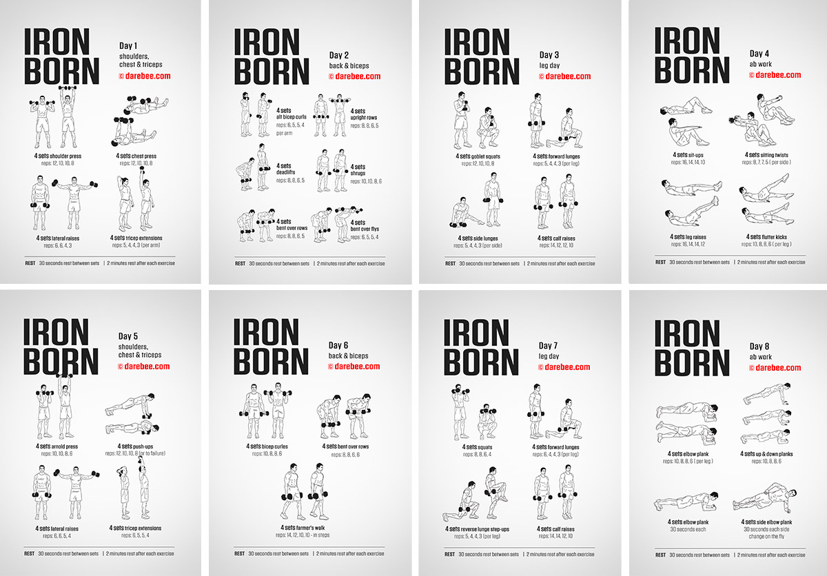 dumbbell-workout-routine-for-beginners-pdf-blog-dandk