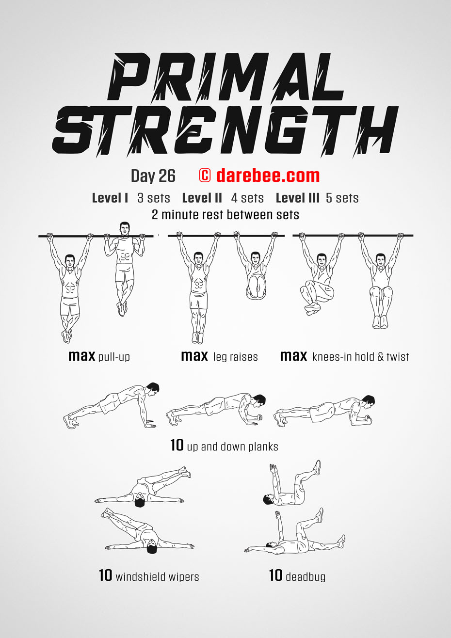 Primal Strength Program by DAREBEE