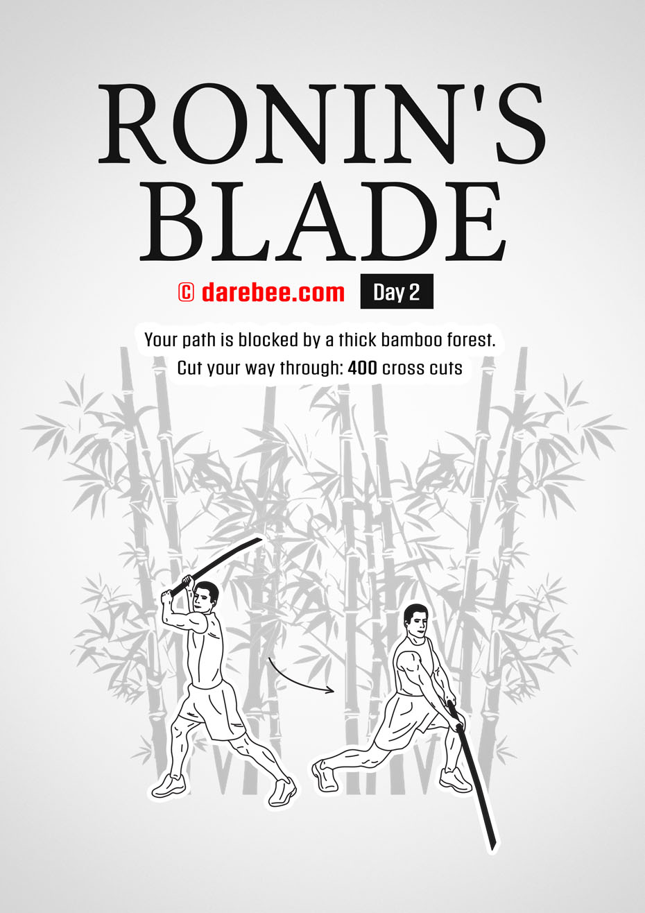 Ronins Blade 30 Day RPG Fitness Program by DAREBEE