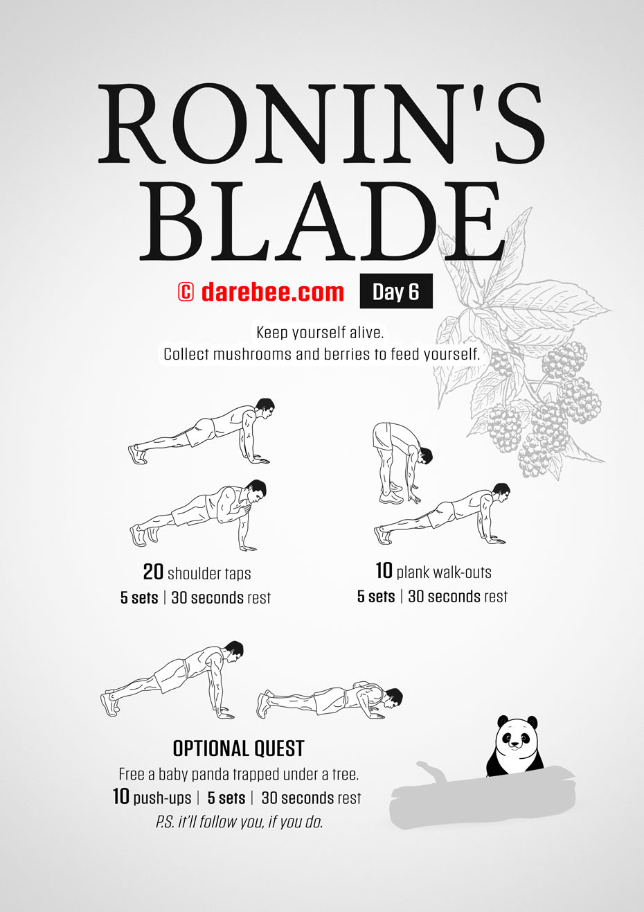 Ronins Blade 30 Day RPG Fitness Program by DAREBEE