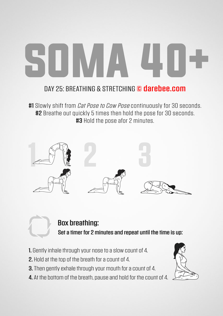 SOMA 40+ Fitness Program for Perimenopause and Menopause by DAREBEE