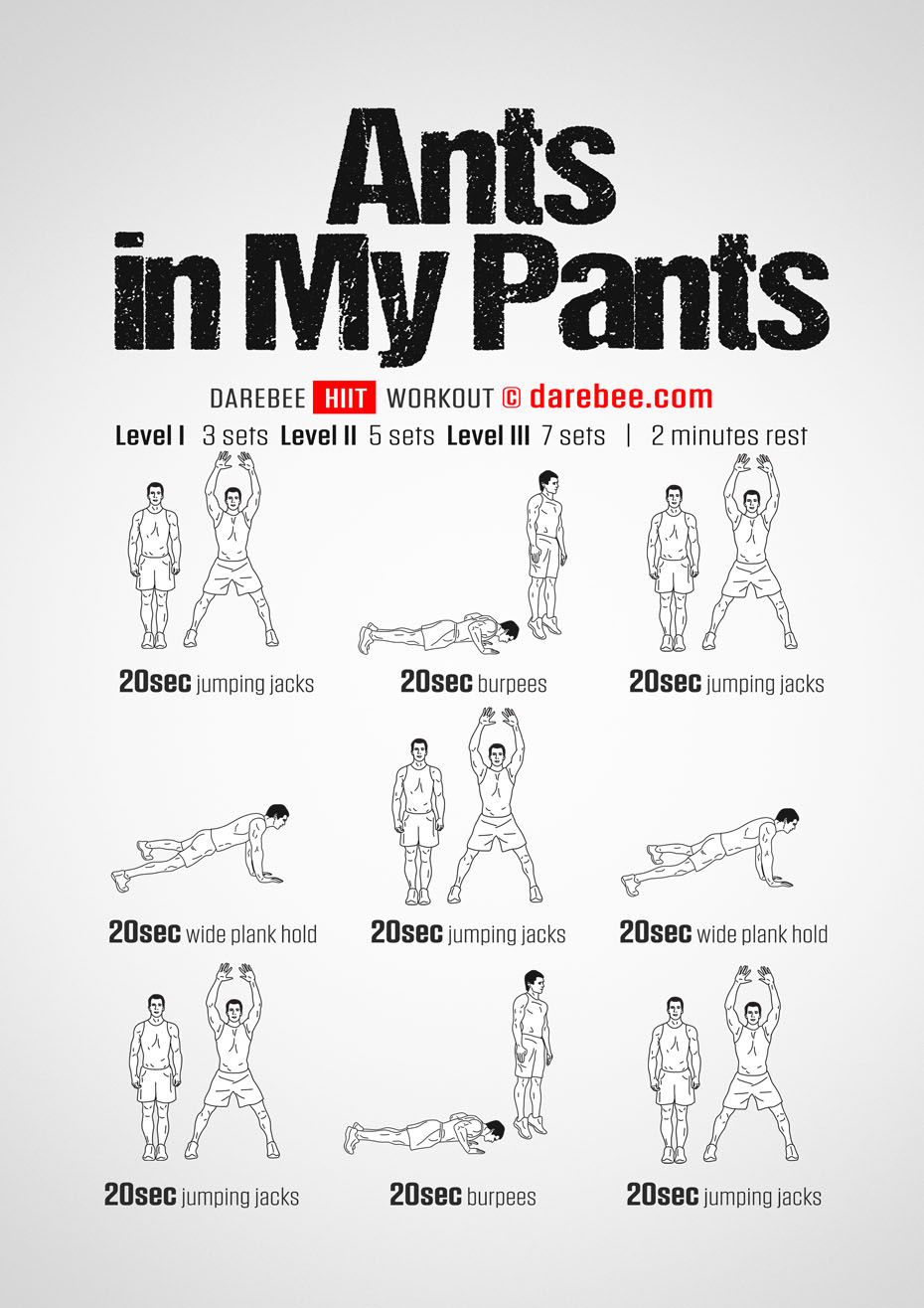Entertainment reflect Unsuitable Ants In My Pants Workout