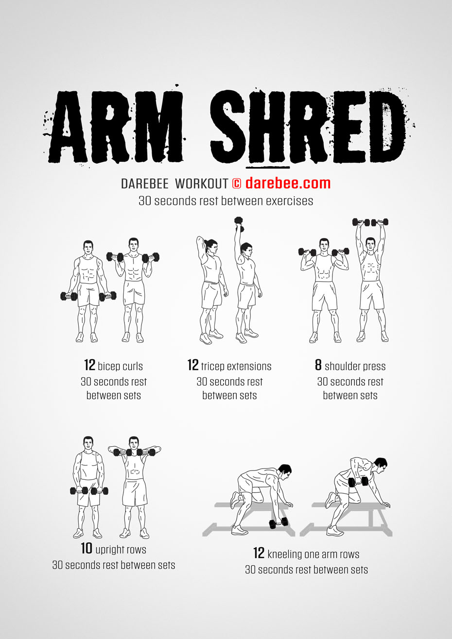 body shred workout plan