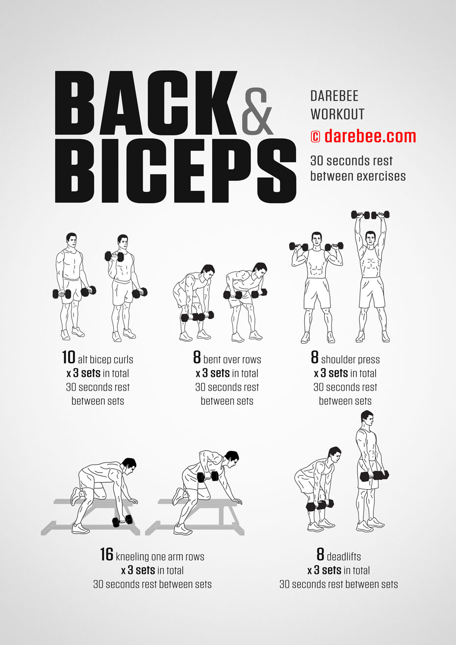 Biceps Exercise Chart