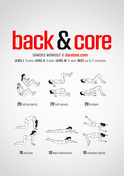 Lower Back Workouts Collection