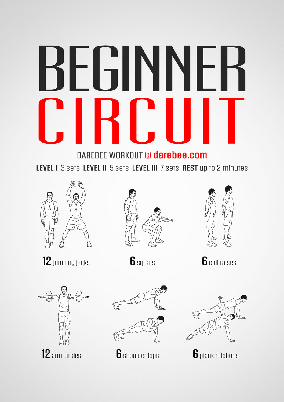 Beginner Circuit Workout