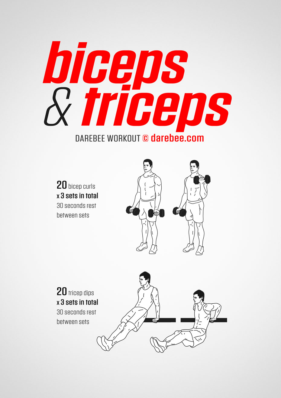 Triceps Workout: Arm Workout, Biceps Workout at Home