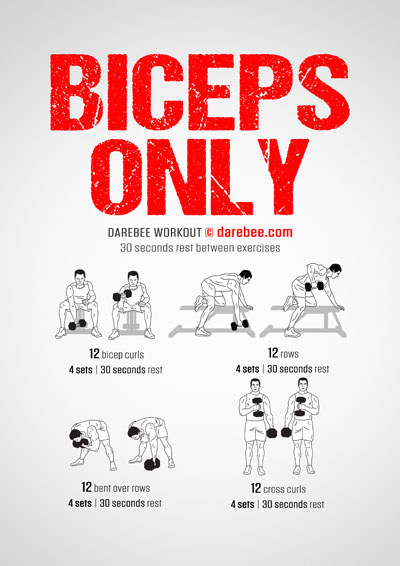 Biceps Only is a Darebee dumbbells-based home-fitness upper-body strength workout that helps you develop strong biceps and shoulders.