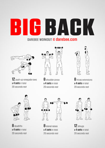 Big Back workout poster 