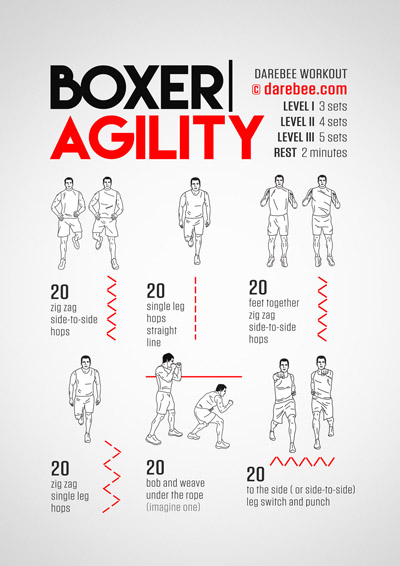 Boxer Agility Workouts Collection