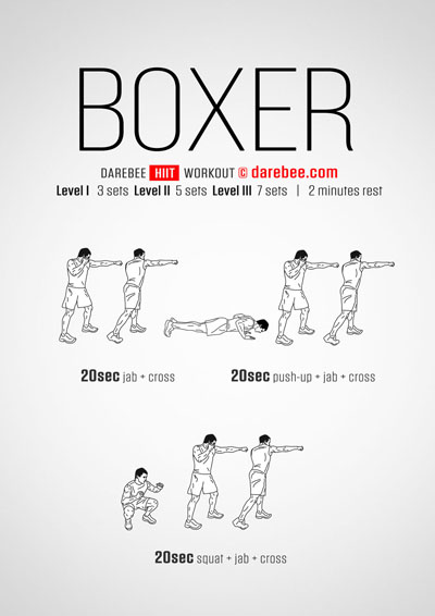 Boxer HIIT Workouts Collection
