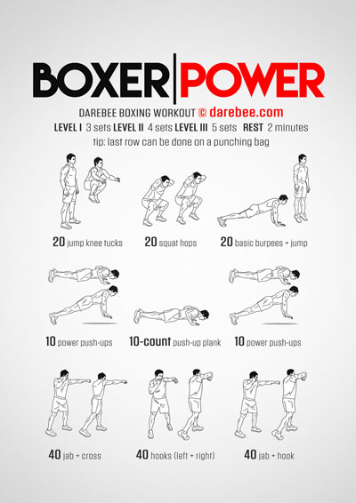 Boxer Power Workout