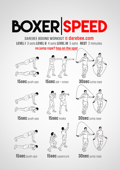 Boxer Speed Workout
