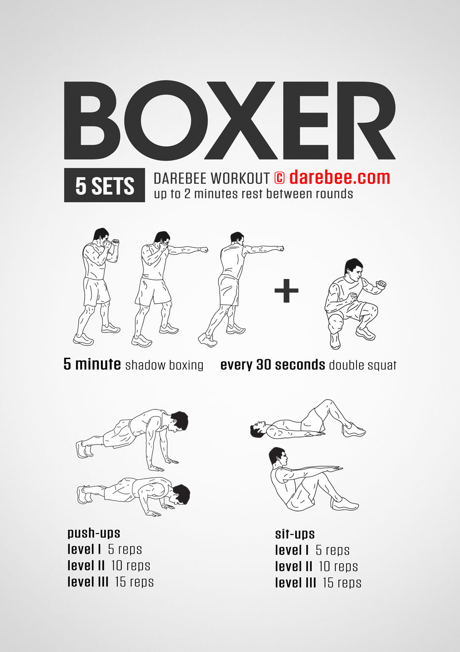 Упражнения boxing. DAREBEE Boxer Workout. План тренировок бокс. План тренировки боксера. Упражнения для бокса.