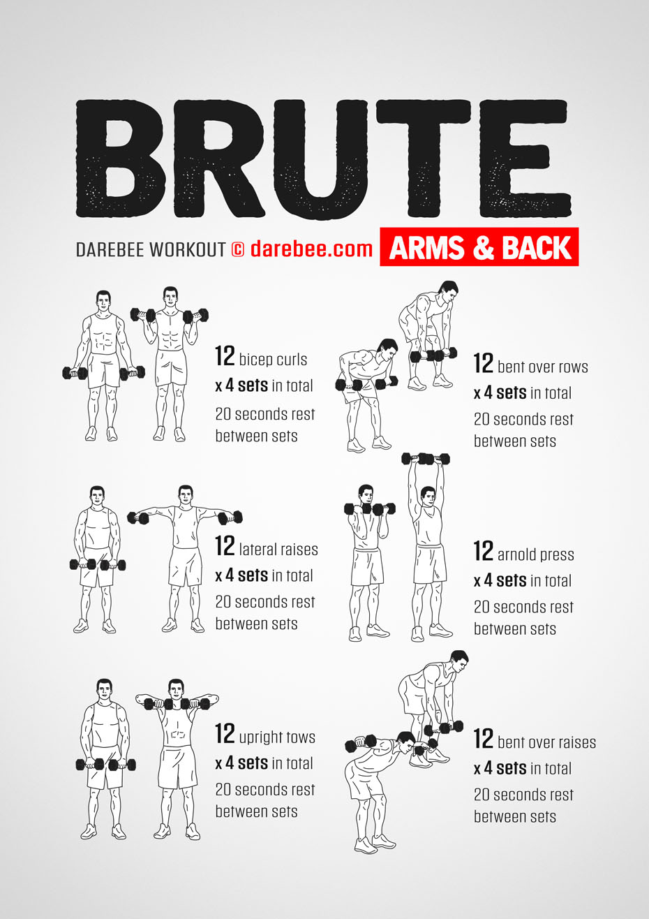 Arms & Back Workout  Upper body strength workout, Arm workout