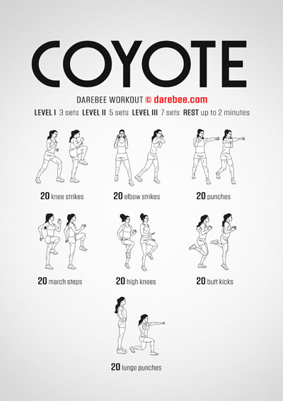 Coyote is a DAREBEE home fitness no equipment combat moves based workout that challenges your body and mind.