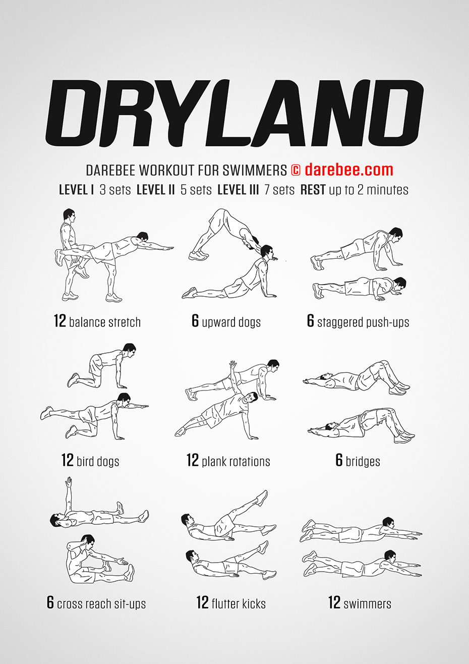 Dryland Workout