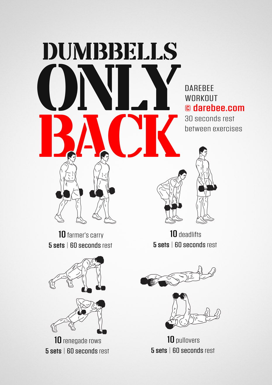 Back and bis dumbbell workout sale