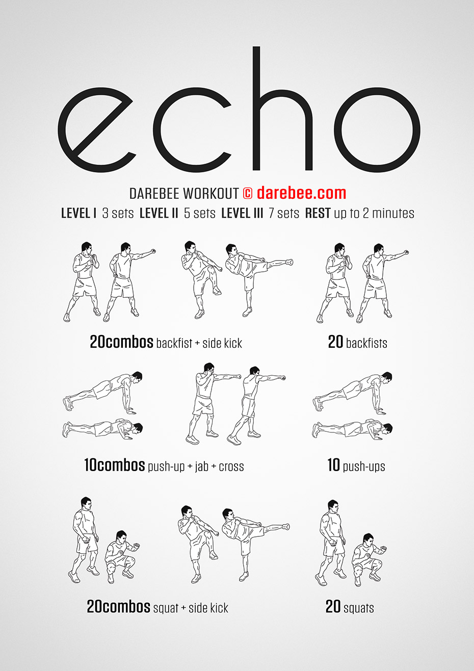 Echo Workout
