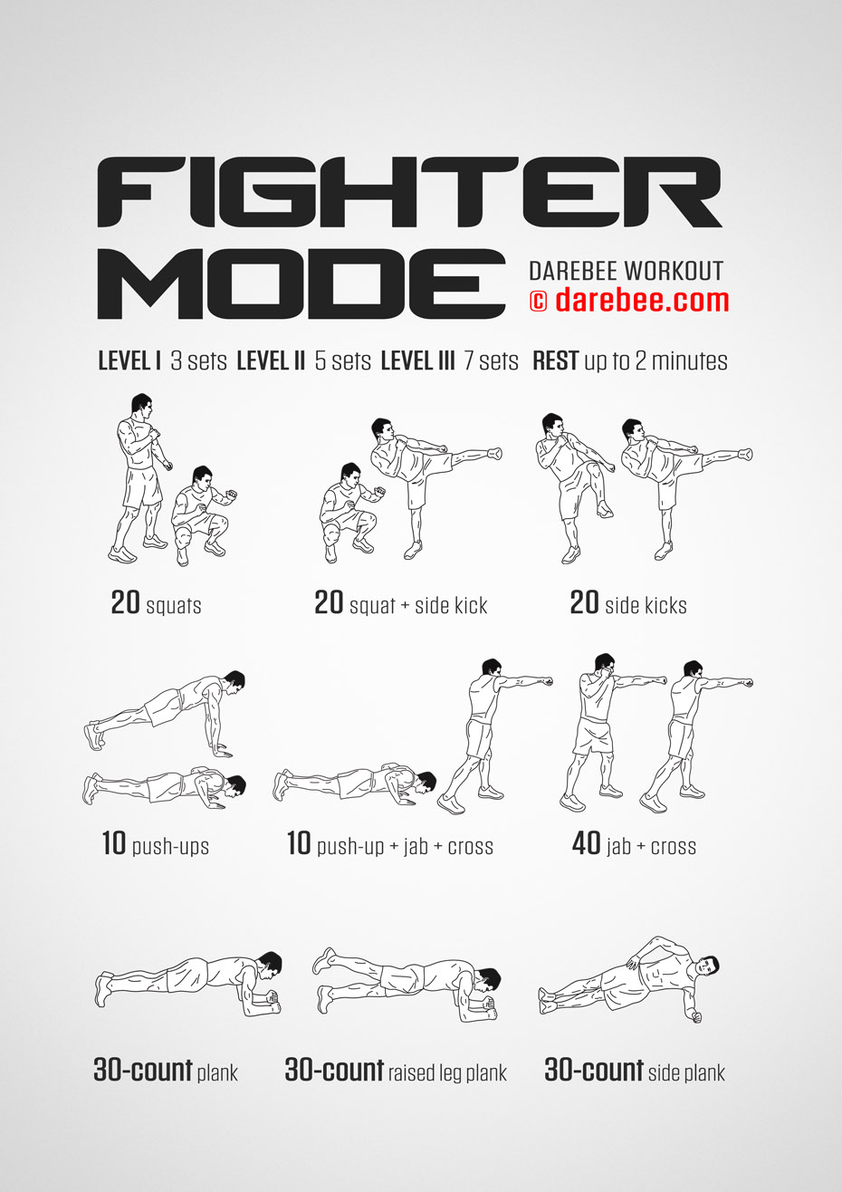 Fighter Mode Workout