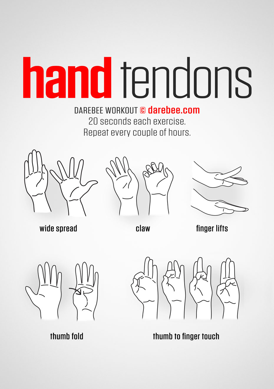 Hand Tendons