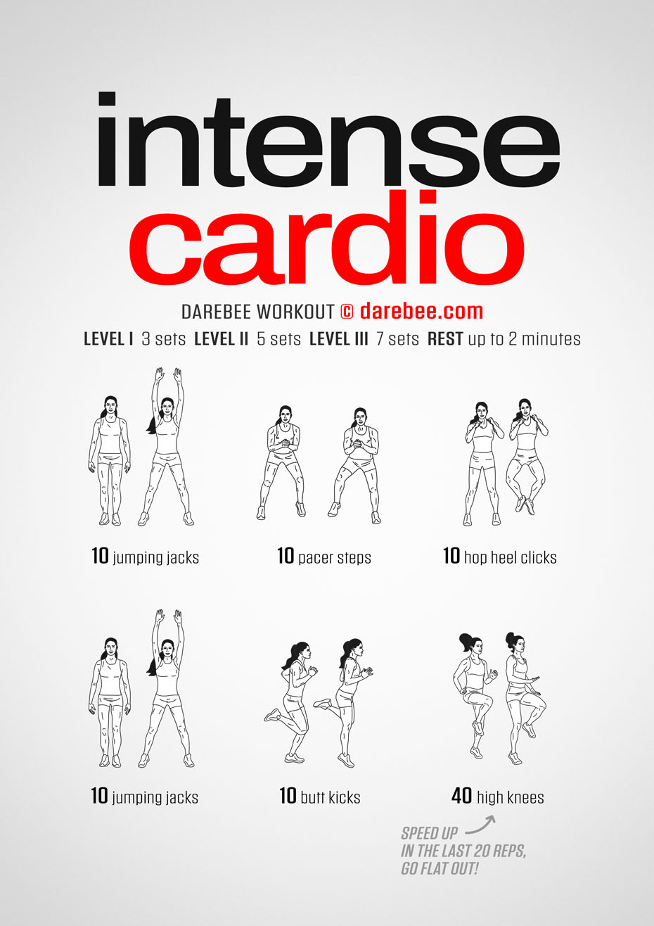 cardiovascular exercises