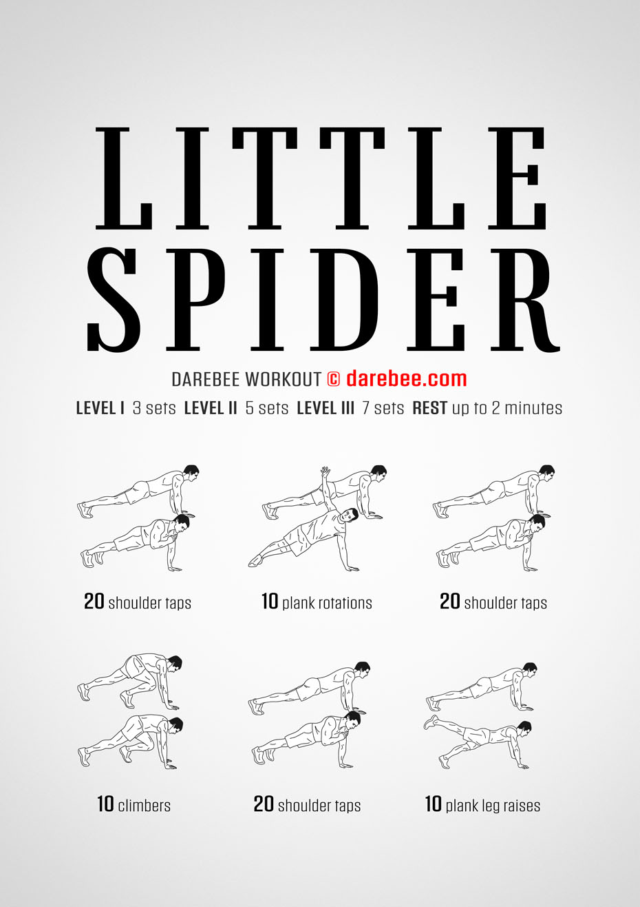 Little Spider is a total body Darebee home-fitness strength workout that will help you increase the level of control you have over your body.