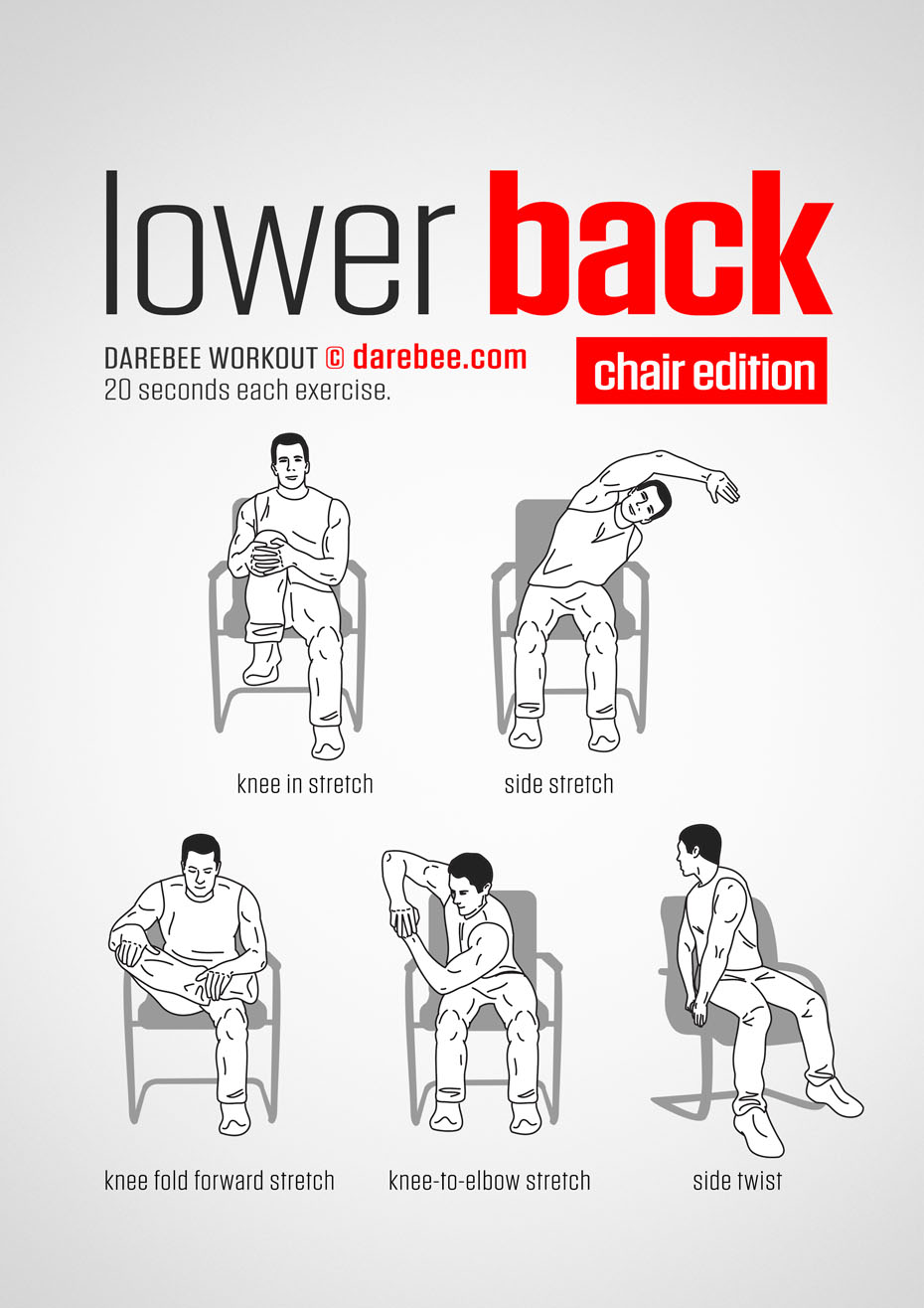 lower back chair workout