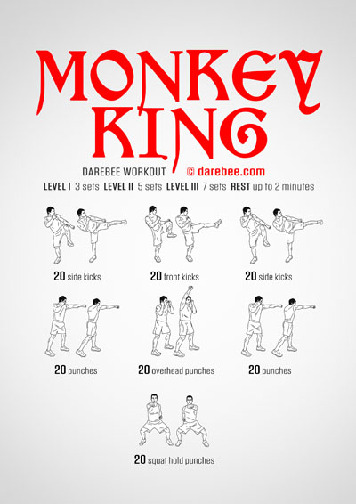 Monkey King workout is a Darebee home-fitness combat moves based workout. 