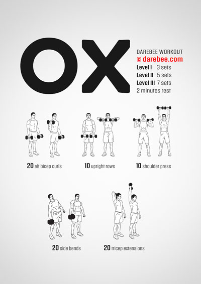 Quick Upperbody Dumbbells Workouts Collection