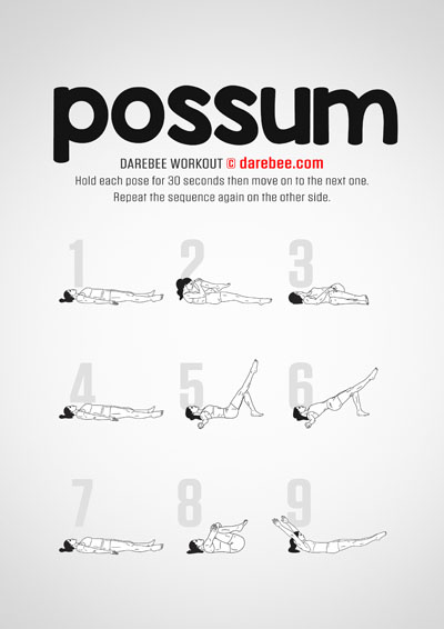Possum is a Darebee home-fitness workout that helps you remain agile, flexible and improves balance and posture. 