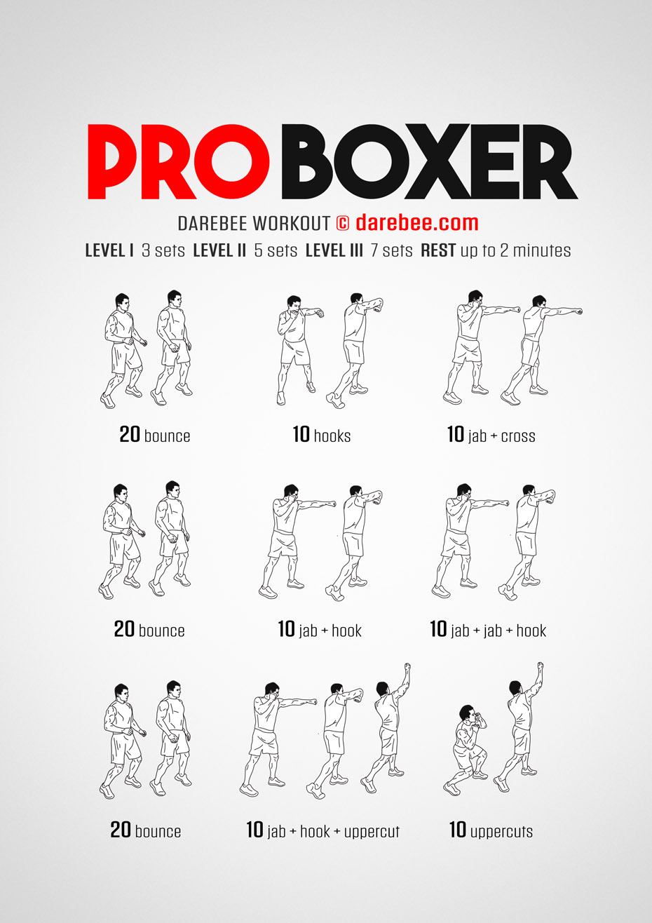 Pro Boxer Workout