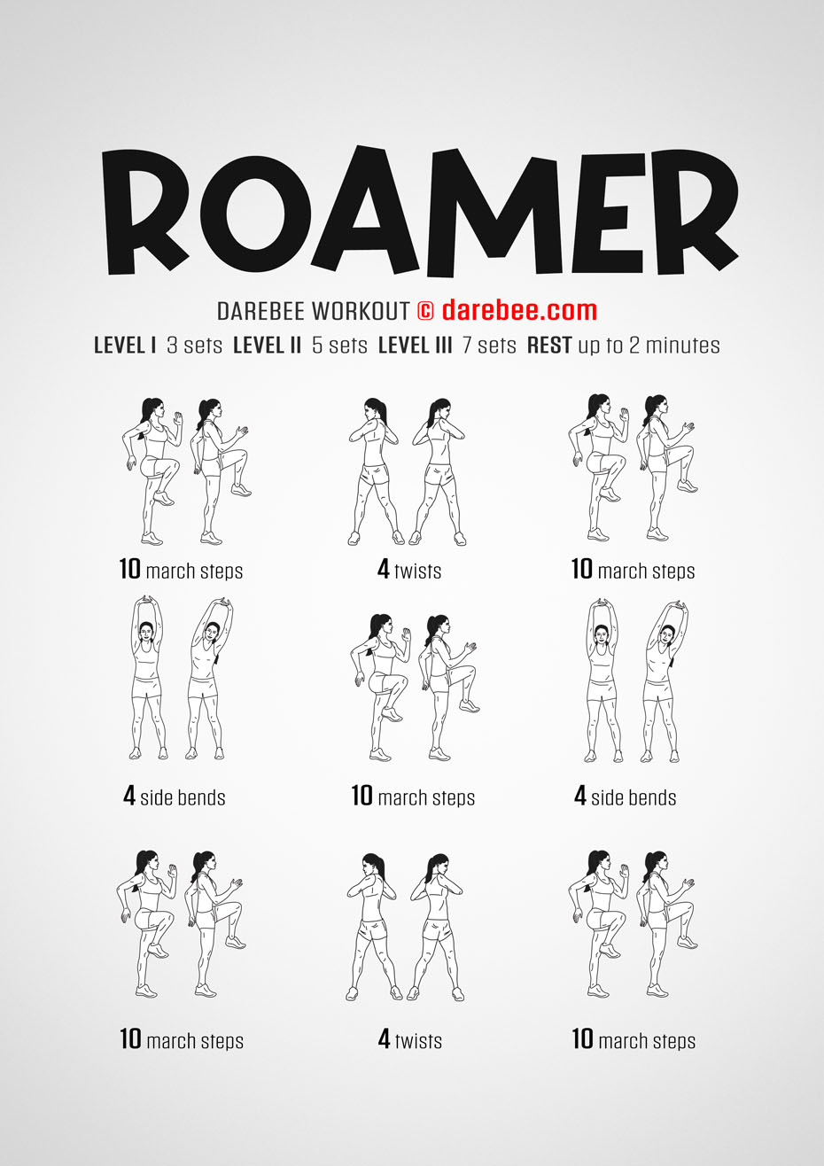 Roamer Workout