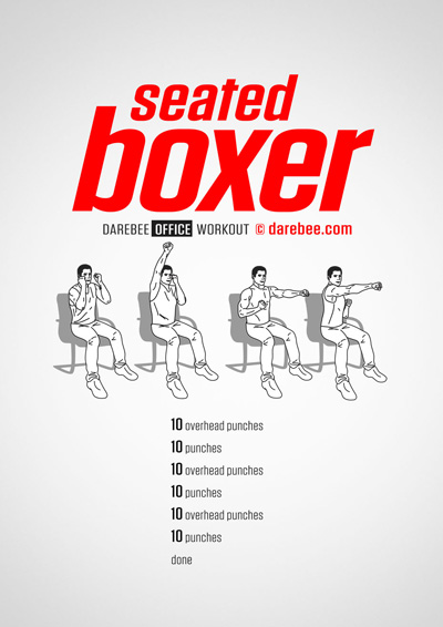 Seated Boxer Workouts Collection